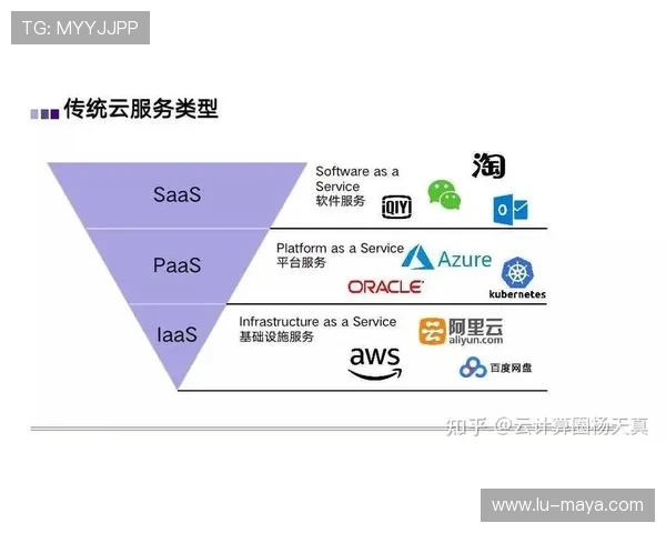 深入分析开云入口的使用方法，带你全面了解其功能